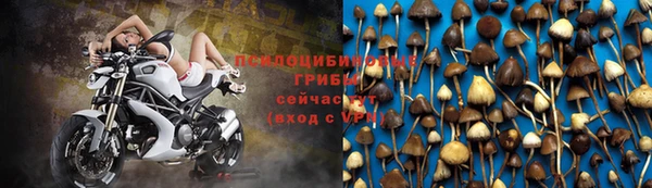 стаф Медвежьегорск