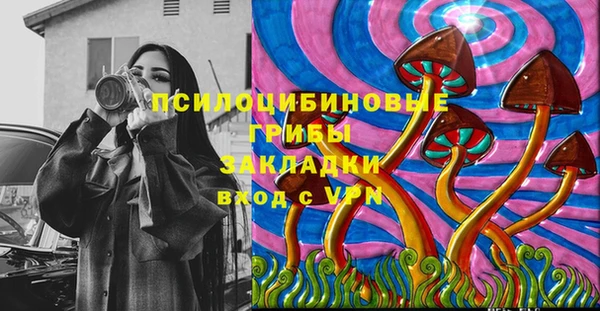 стаф Медвежьегорск