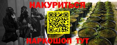 mdma Кингисепп