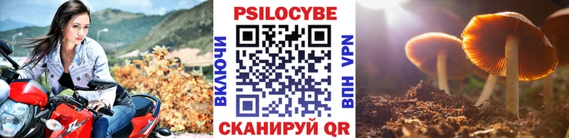 Псилоцибиновые грибы прущие грибы  продажа наркотиков  Череповец 
