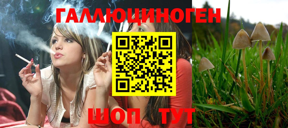 Псилоцибиновые грибы Magic Shrooms Череповец
