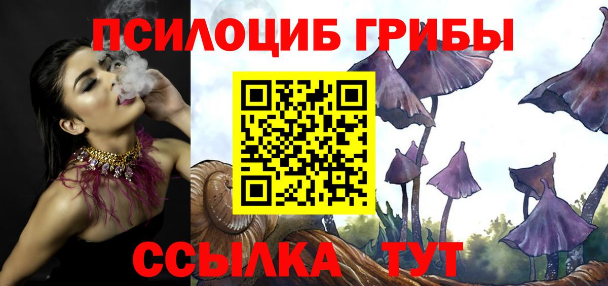 Галлюциногенные грибы Magic Shrooms  Вход с VPN  Череповец 