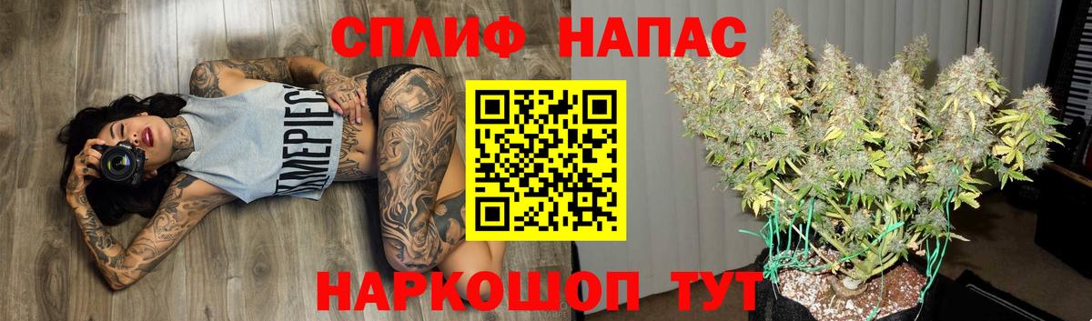 Бошки Шишки планчик Череповец